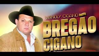 VANOLY CIGANO AO VIVO EM IBIRATAIA BA 2017 [upl. by Andert966]