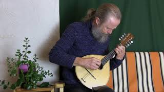 Etude No7 E GnesinaVitachek – Toomas Rannu Mandolin mandolin [upl. by Amalle507]