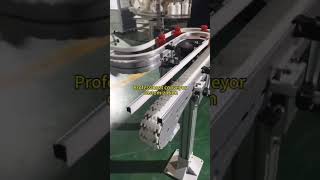 Professional conveyor customization [upl. by Iliram]