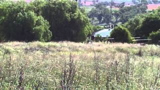 Merriwa Railway Society  heritage decay [upl. by Serrell]