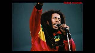 BOB MARLEYBABYLON SYSTEM LYRICS BREAKDOWN EPISODE 1 bobmarley bobmarleyandthewailers reggae [upl. by Lezti]