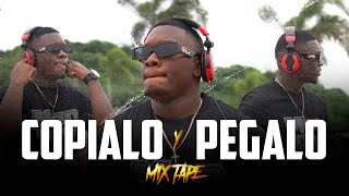 COPIALO Y PEGALO MIXTAPE djvinsc3 MIX DE PLENAS NUEVAS 2023 [upl. by Terryl]