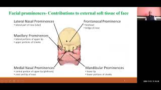 BDS I 404 I ORTHODONTICS I Prenatal growth and development of craniofacial region I DR R P MAURYA [upl. by Annay875]