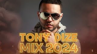 TONY DIZE MIX 2024  REGGAETON VIEJO MIX  REGGAETON CLASICO MIX 2024 [upl. by Orbadiah]