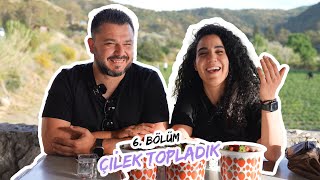 6 BÖLÜM ÇİLEK TOPLADIK [upl. by Celeski]