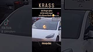 Neue Tesla Winteredition mit gemütlichem Kamin 😅 tesla fun meme kamin fire elonmusk reel [upl. by Reube]