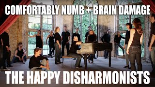 COMFORTABLY NUMBBRAIN DAMAGE The Happy Disharmonists [upl. by Goldenberg]