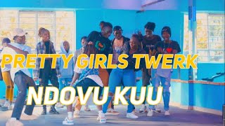 NDOVU KUU  PRETTY GIRLS TWERK  OFFICIAL DANCE  CHOREOGRAPHY BY CLACK [upl. by Gridley]