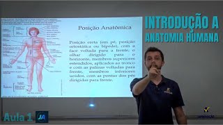 O que é anatomia posição anatômica e Divisão do corpo humano  AULA 1 [upl. by Rimhsak]