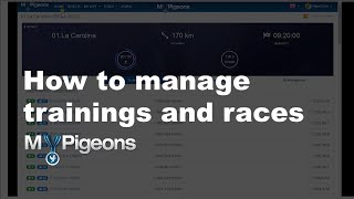 Where to find my trainings and races in MyPigeons [upl. by Bernelle524]