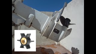 How to replace impeller on an outboard motor Johnson 25hp [upl. by Anuat990]