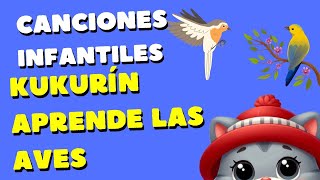 El gato Kukurín  Aprende los nombres de las aves  Canciones infantiles [upl. by Bethena]