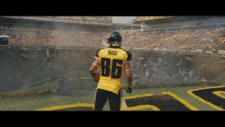 Hine Ward  Heinz Field pt 1 Career Highlight [upl. by Landri]