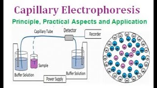 Capillary Electrophoresis  Principle Practical Aspects and Application [upl. by Tnecniv]