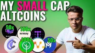 My Crypto Portfolio Small amp Mid Cap Altcoin Gems For 100x Potential Gains [upl. by Methuselah29]