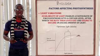 13 The Process of Photosynthesis Biology Form 1 [upl. by Thin]