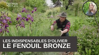 Les incontournables du jardin  Le fenouil bronze ou Foeniculum Vulgare [upl. by Aroz]