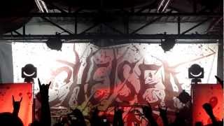 Chelsea Grin  The Foolish One  Live HD 31413 [upl. by Reece]