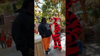 Tigger is always fun to run into [upl. by Tenaj]