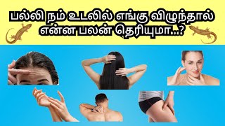 பல்லி நம் உடலில் எங்கு விழுந்தால் என்ன பலன்  palli vilum palangal in tamil [upl. by Nij]