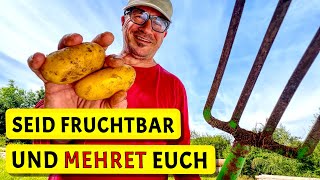 Die wundersame KartoffelVermehrung  Rezept Pflaumenmus  Test Rüttelsieb [upl. by Brothers731]