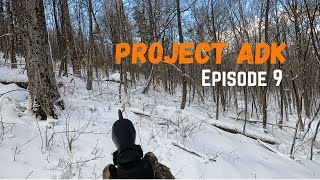 Three Deer Tracked To Their Beds  Adirondack Deer Tracking on Snow  Project ADK  Episode 9 [upl. by Fachan]