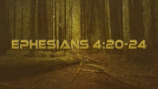 Ephesians 42024 Be Renewed  Bible Rap [upl. by Inah]