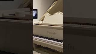 Capture Performances with Disklavier  Bösendorfer 185VC Grand Piano at Classic Pianos Denver [upl. by Latty]