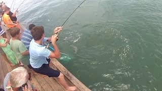 How to Catch Snapper and Snook Fishing at Florida Pier [upl. by Mellar]