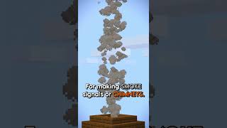 Making Campfires MORE useful in minecraft 🔥💯 [upl. by Adalia]