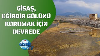 GİSAŞ Eğirdir Gölünde Doğal Hayatı Korumak İçin Çalışıyor [upl. by Sammons855]