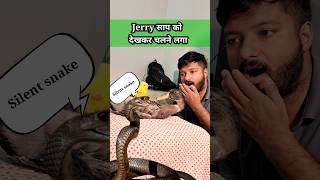 Baby Duck को मिला नया जीवनदान साँप के हमले से जरी चलने लगा  youtubeshorts birds jerry trending [upl. by Russom]