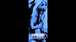 GODFLESH  Endgames [upl. by Airamahs861]