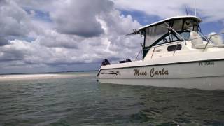 1997 Sea Cat SL5C in Port Saint Joe FL [upl. by Pomcroy278]