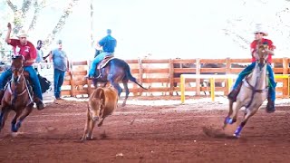 TEAM ROPING SUPER SERIES 2023 • LAÇADAS • CAMPÕES WARM UP • LAÇO EM DUPLA [upl. by Nalyt251]