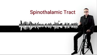 Spinothalamic Tract [upl. by Nirot]