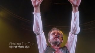 Peter Gabriel  Shaking The Tree Secret World Live HD [upl. by Dhu]