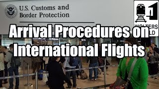 What is the Arrival Procedure on an International Flight [upl. by Kcirderfla8]