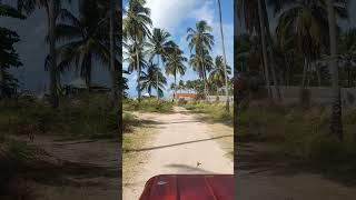 Maraogi AL viagem alagoas automobile bug anos90 beach praia travel [upl. by Ahsenac]