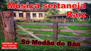 Sertanejo Raiz  Só Modão do Bão [upl. by Sajovich229]