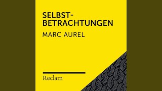 Selbstbetrachtungen VII Buch 68 [upl. by Belldas]