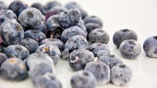 Blaubeeren Heidelbeeren  7 Fakten [upl. by Brandtr]