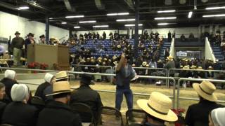 Pennsylvania Draft Horse Sale 2014 [upl. by Sucy]