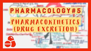 Pharmacology 5  Pharmacokinetics Drug Excretion [upl. by Indyc]