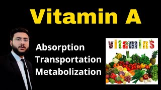 Vitamin A l Absorption l Transportation l Metabolization l Definition l Explanation [upl. by Ailahs]