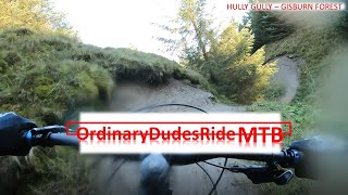 HULLY GULLY IN THE PUDDLES BUT STILL SPICY GISBURN MOUNTAIN BIKING MTB DOWNHILL [upl. by Goran265]