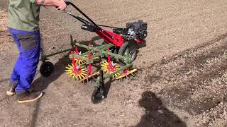 Tilmor Walk behind with three row Steketee finger weeder [upl. by Aihsad104]