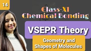 ClassXI Chemical Bonding VSEPR Thoery Molecules containing Lone pairs and Bond pairs [upl. by Leahcimnoj]