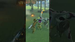 You can KILL FLOWERBLIGHT GANON in TotK [upl. by Blockus]