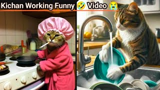 Kichan Working Funny Video 😄  🤣 Cat Hard Work 😺 And Eating Food 🍔  🥪 Cat 2024 funny worklove [upl. by Wycoff]